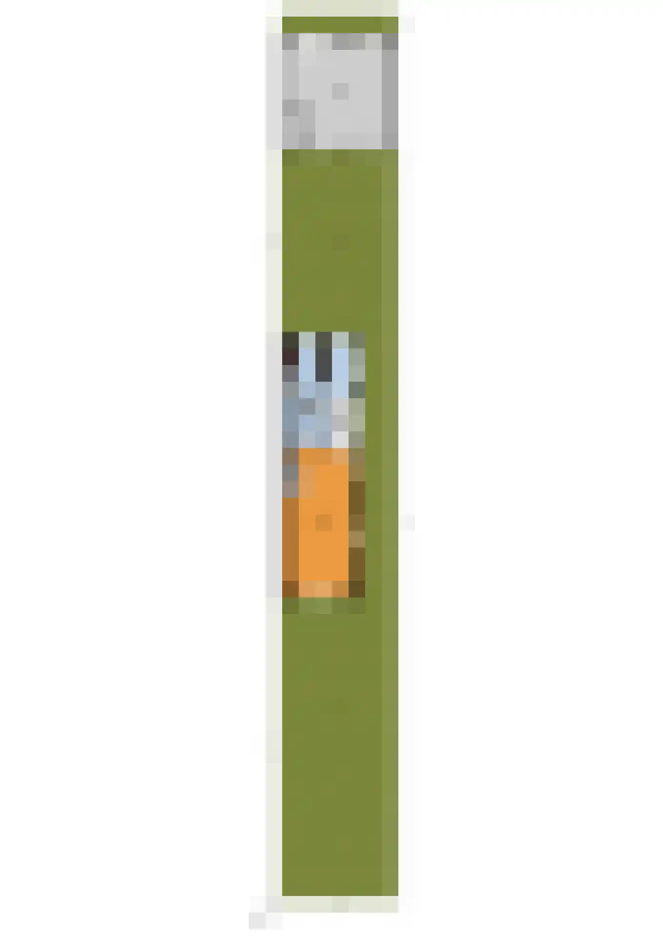 Parallelweg-Zuid 47 Nieuwerkerk aan den IJssel thumbnail 60