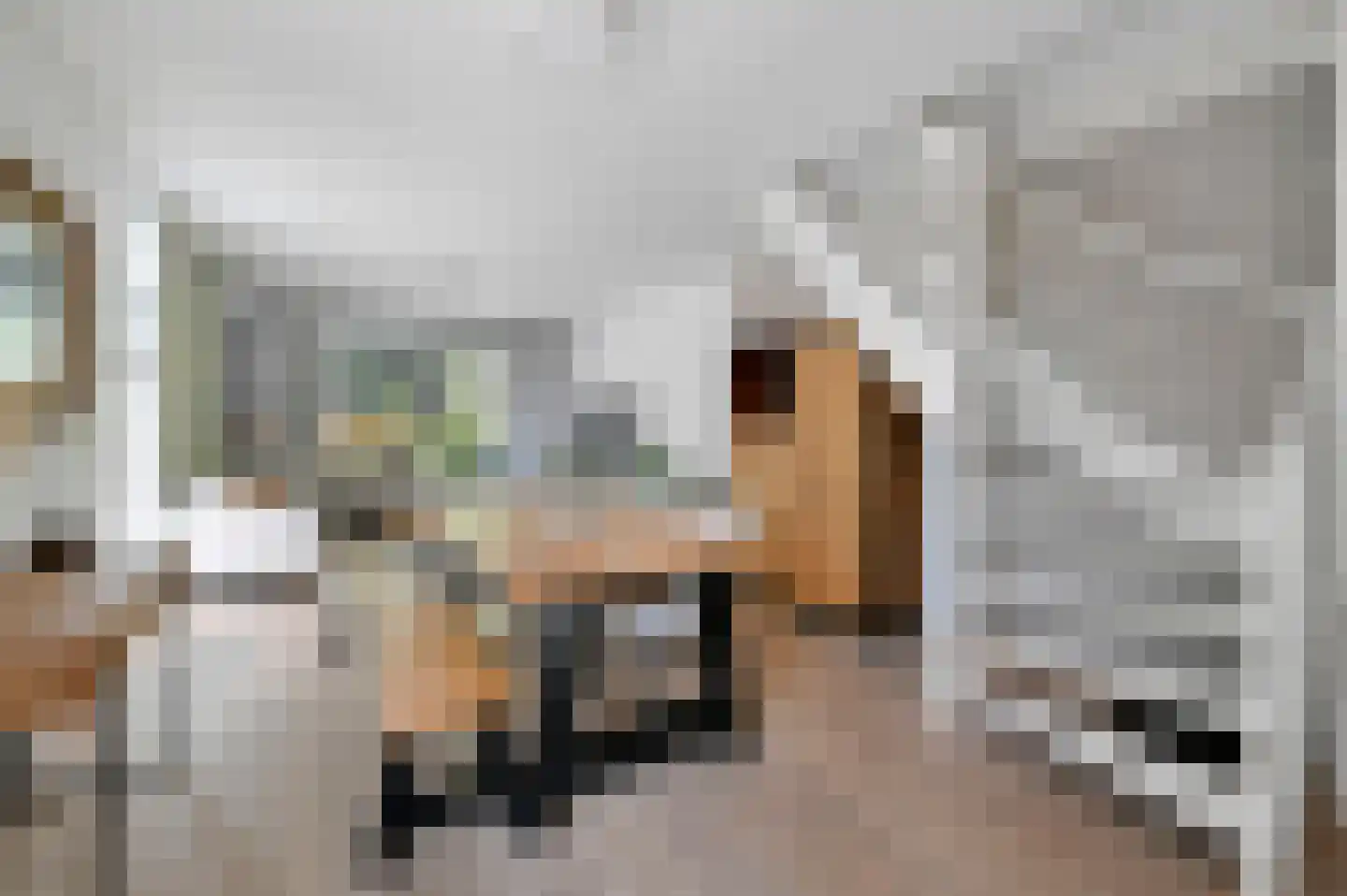 Parallelweg-Zuid 47 Nieuwerkerk aan den IJssel thumbnail 8