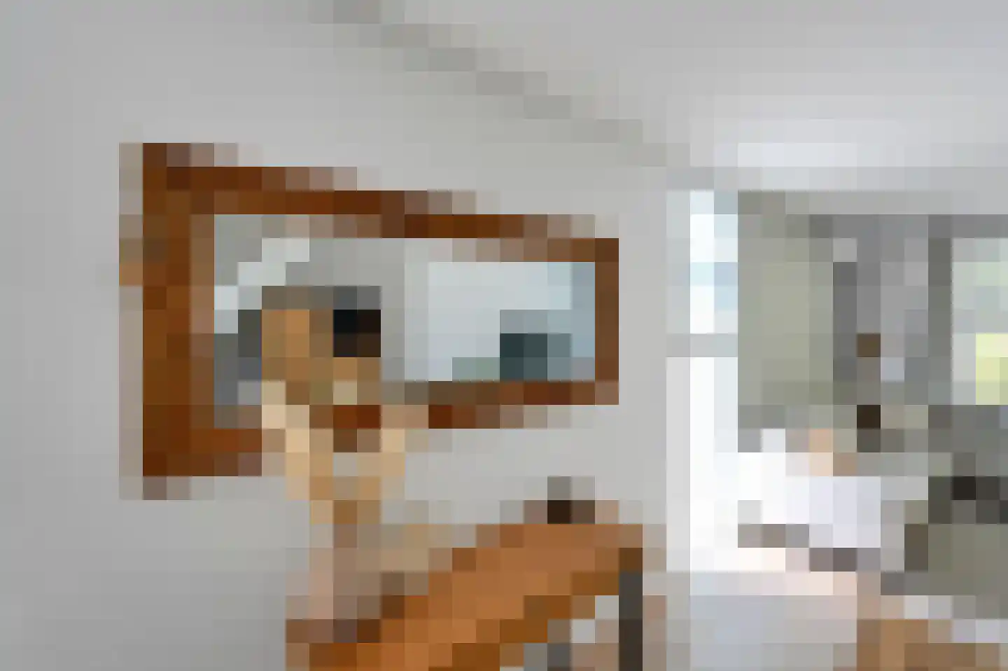 Parallelweg-Zuid 47 Nieuwerkerk aan den IJssel thumbnail 9
