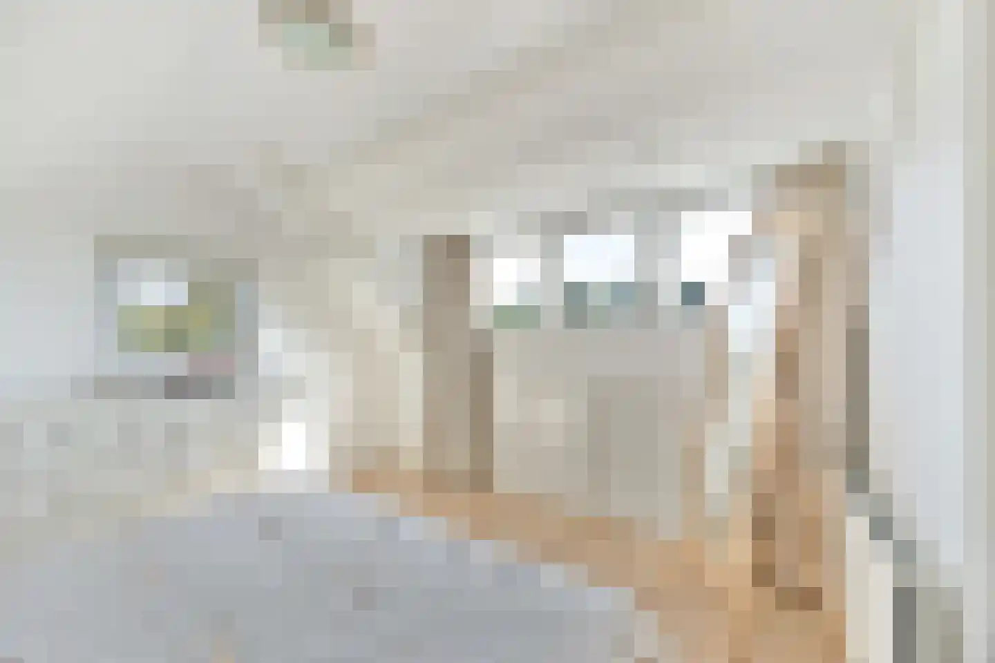 Parallelweg Zuid 5 Oud Gastel thumbnail 40