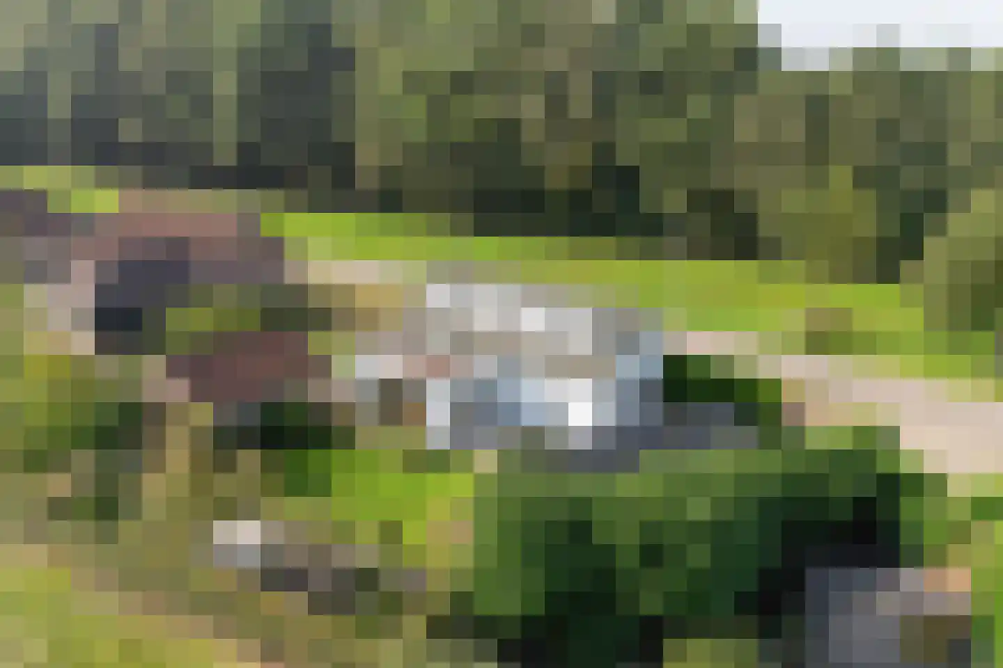 Parallelweg Zuid 5 Oud Gastel thumbnail 60