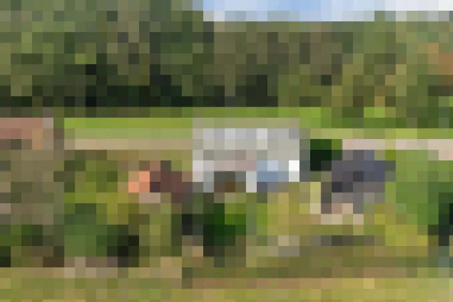 Parallelweg Zuid 5 Oud Gastel thumbnail 7