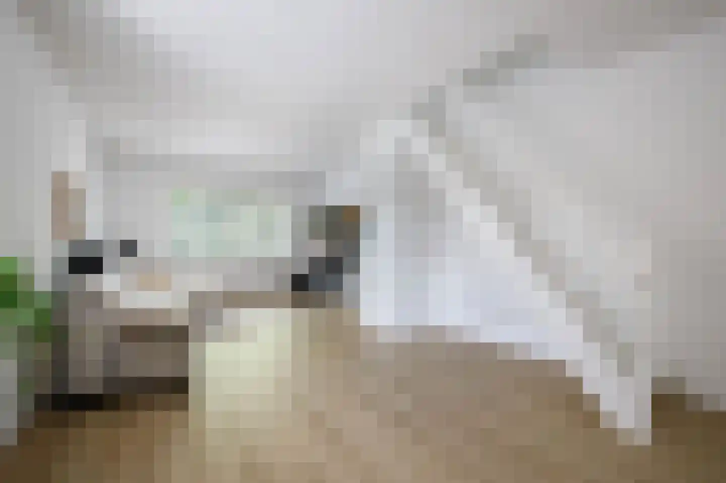 Parallelweg-Zuid 75 Nieuwerkerk aan den IJssel thumbnail 17
