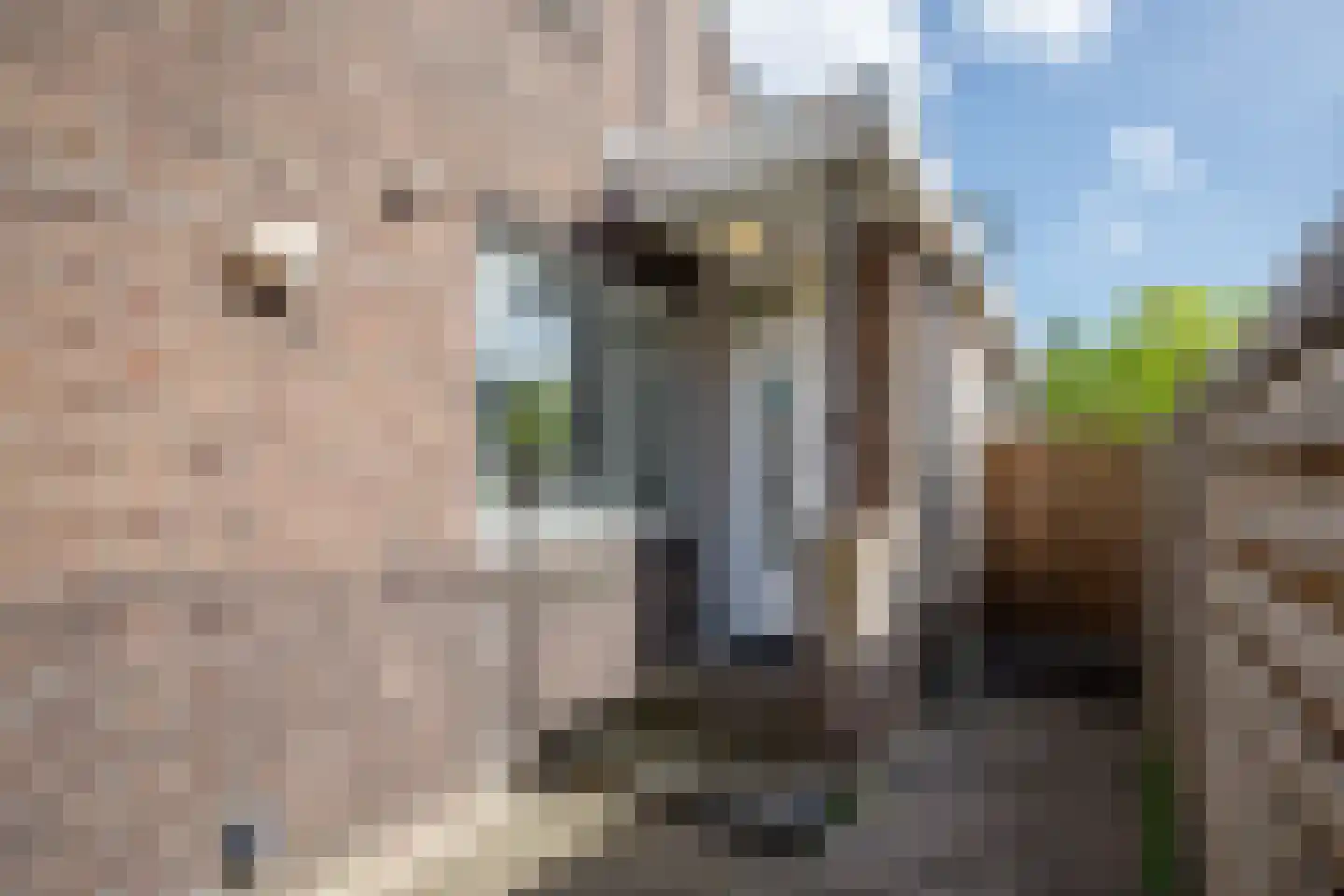 Parallelweg-Zuid 75 Nieuwerkerk aan den IJssel thumbnail 39