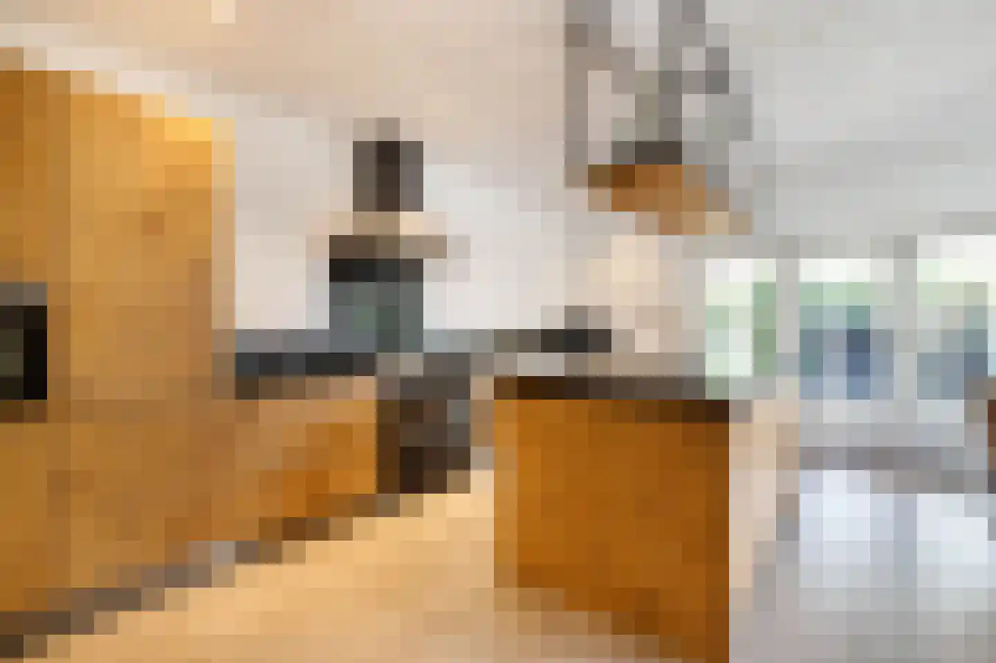 Parallelweg-Zuid 75 Nieuwerkerk aan den IJssel thumbnail 4