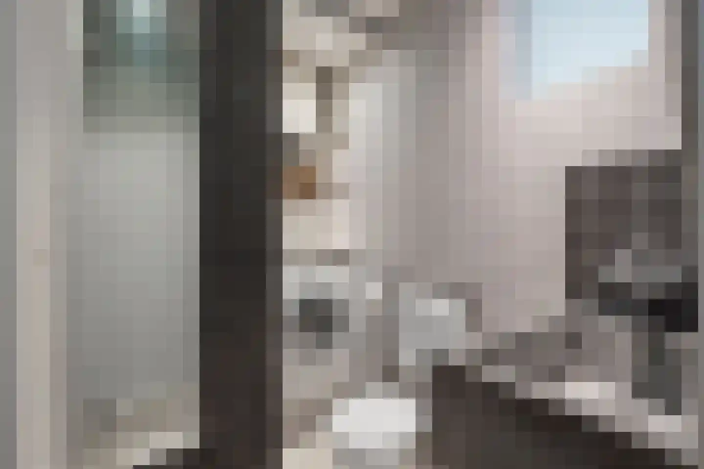 Paramariboplein 2 1 Amsterdam thumbnail 23