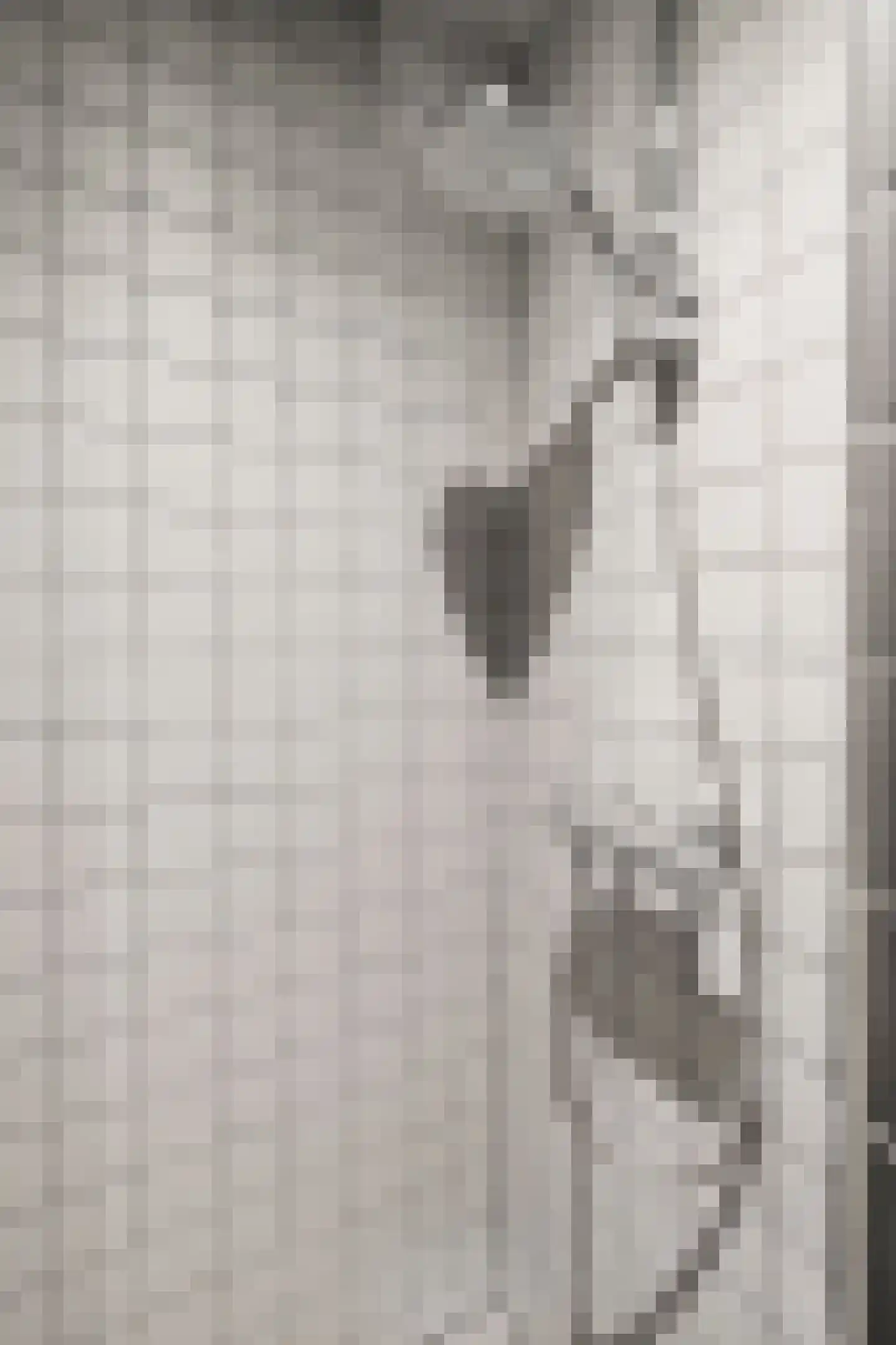 Paramariboplein 2 1 Amsterdam thumbnail 24