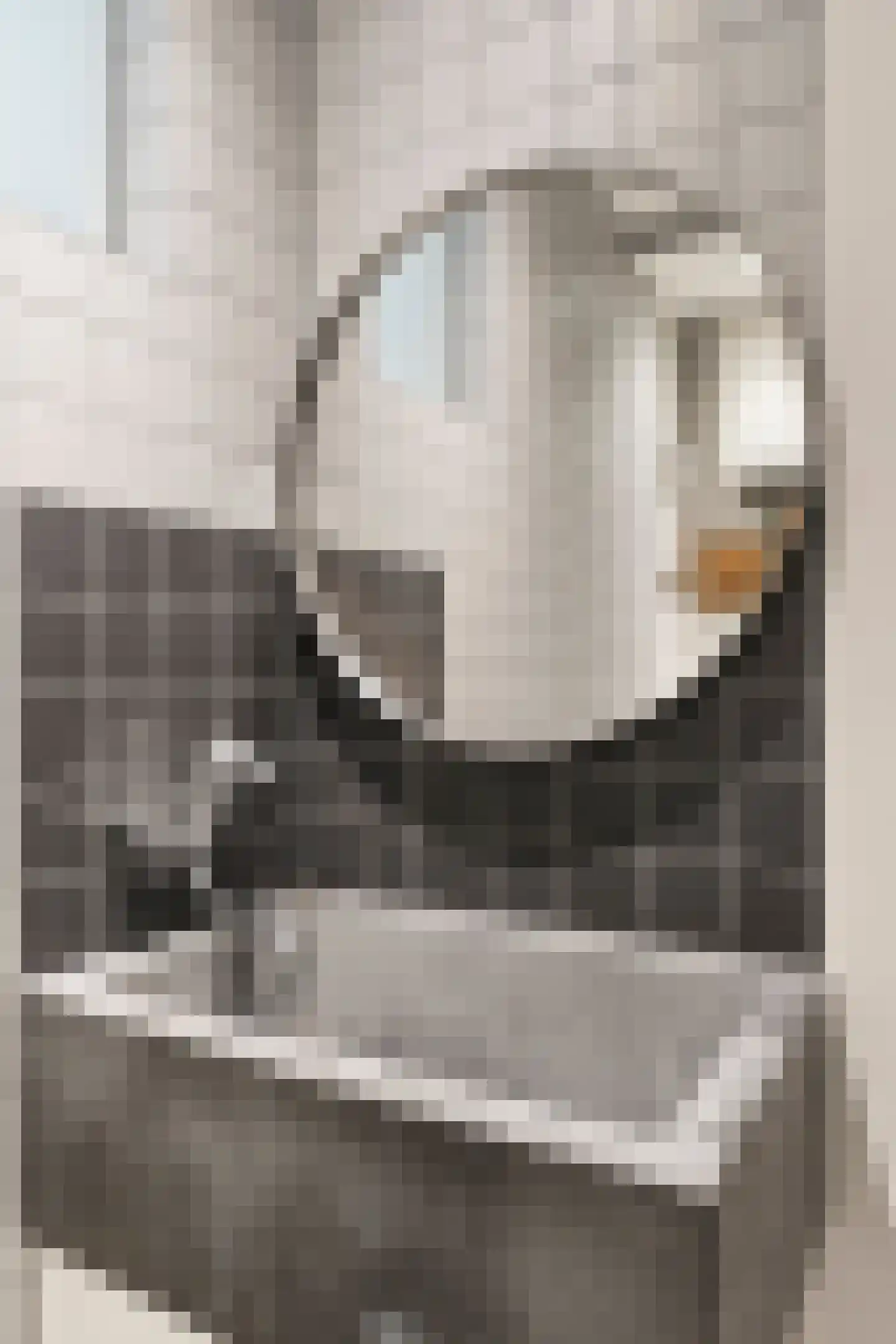 Paramariboplein 2 1 Amsterdam thumbnail 25