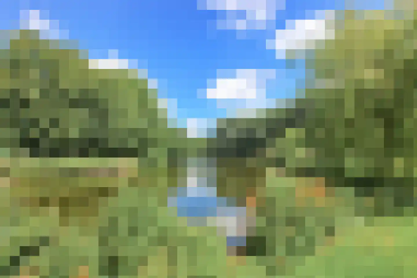 Paramariboplein 2 1 Amsterdam thumbnail 34