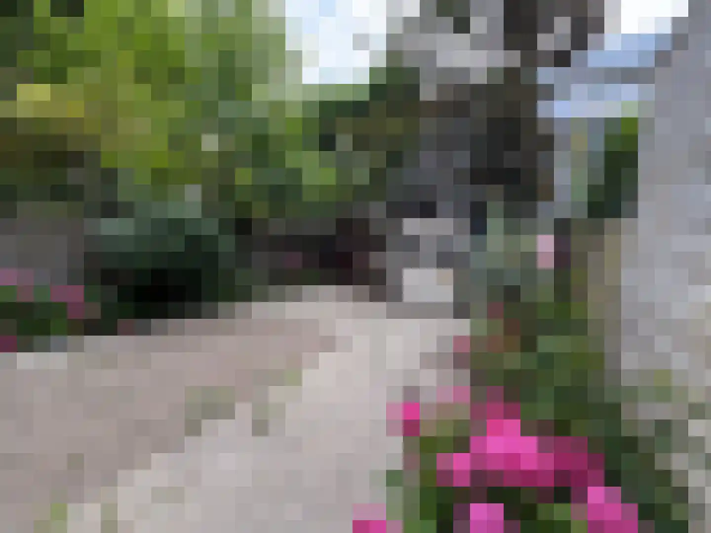 Paramariboplein 22 Amsterdam thumbnail 21