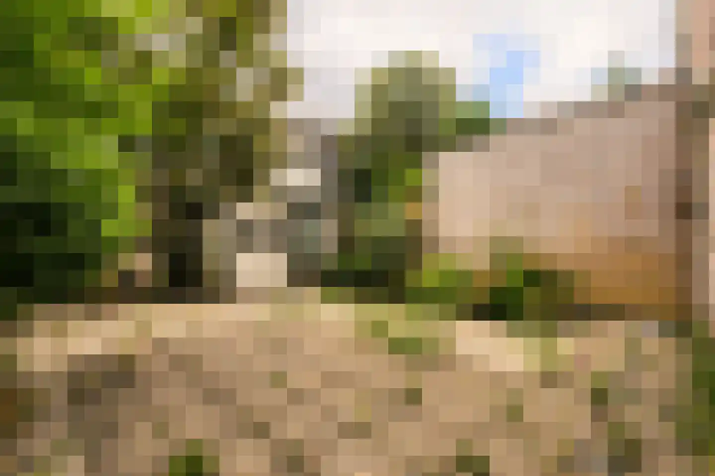 Paramariboplein 22 Amsterdam thumbnail 25