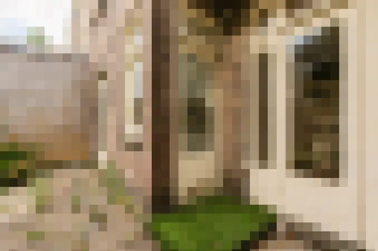 Paramariboplein 22 Amsterdam thumbnail 28
