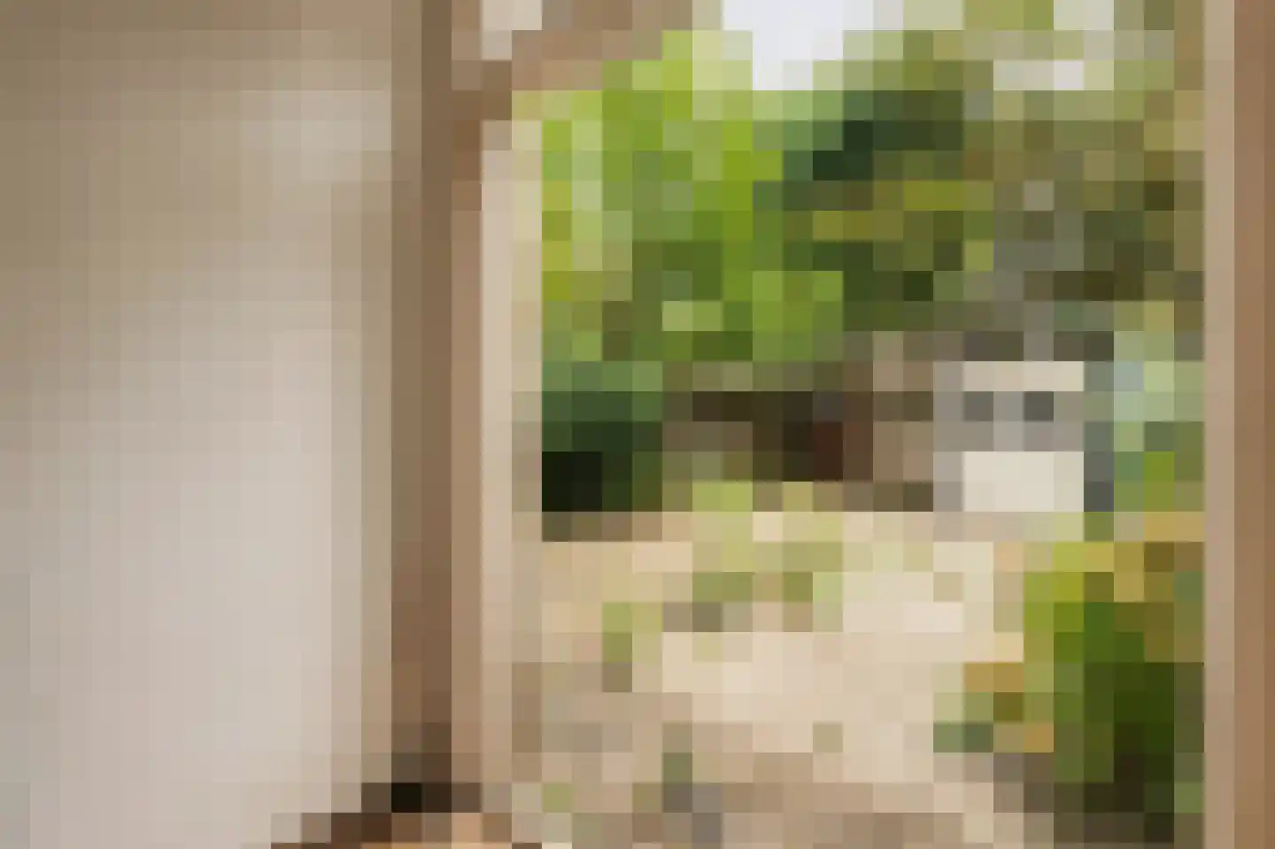 Paramariboplein 22 Amsterdam thumbnail 31