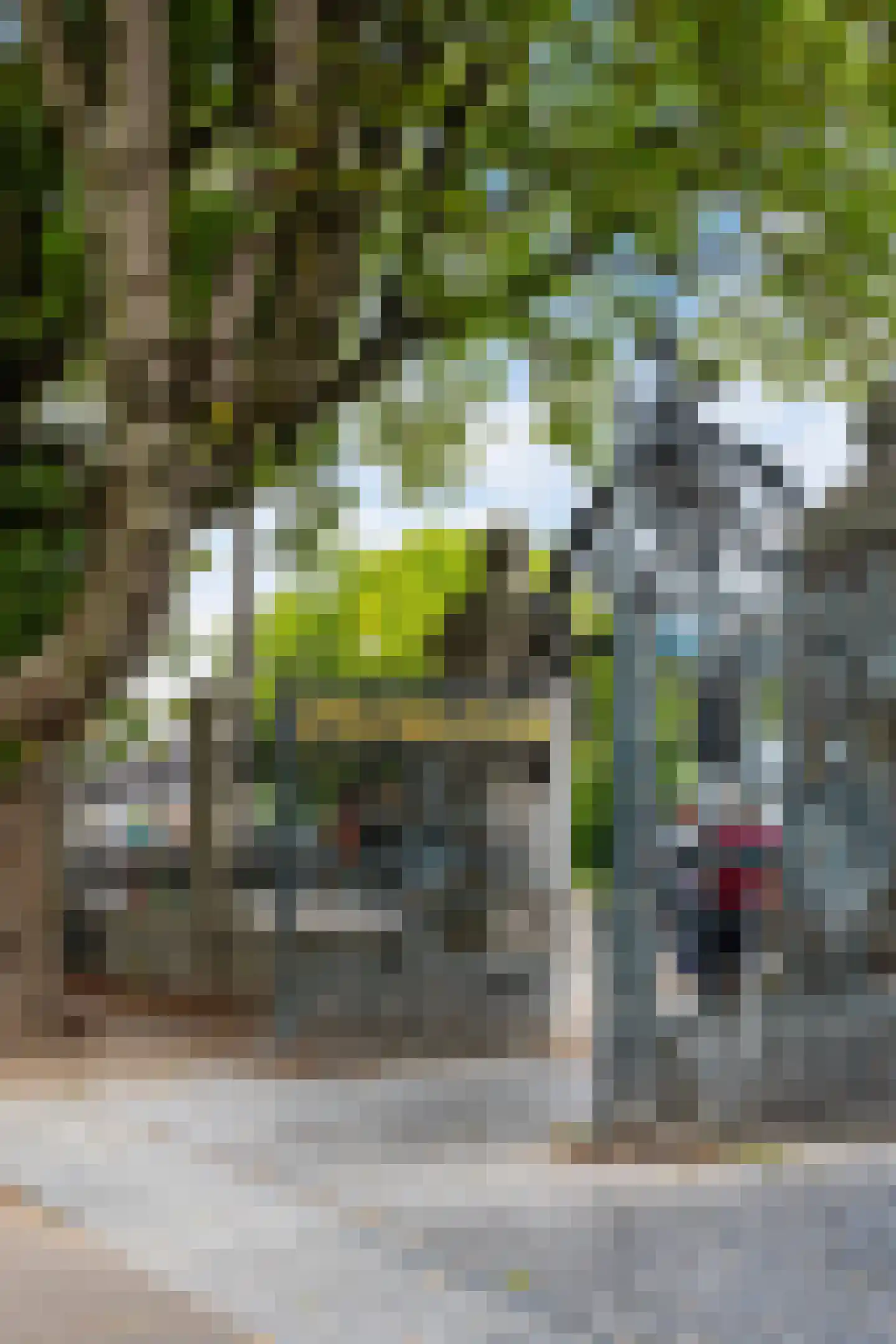 Paramariboplein 22 Amsterdam thumbnail 35