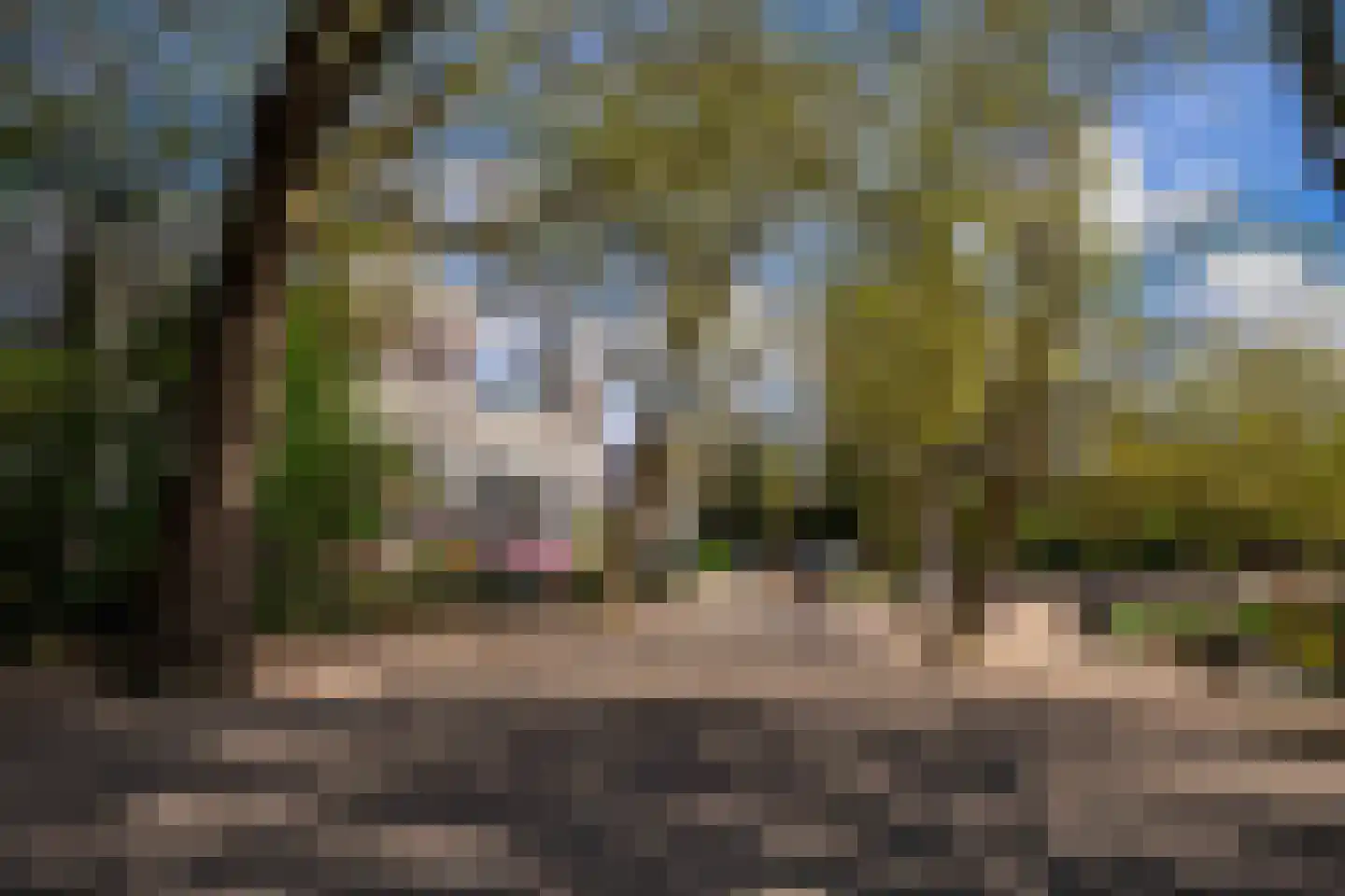 Paramariboplein 22 Amsterdam thumbnail 36