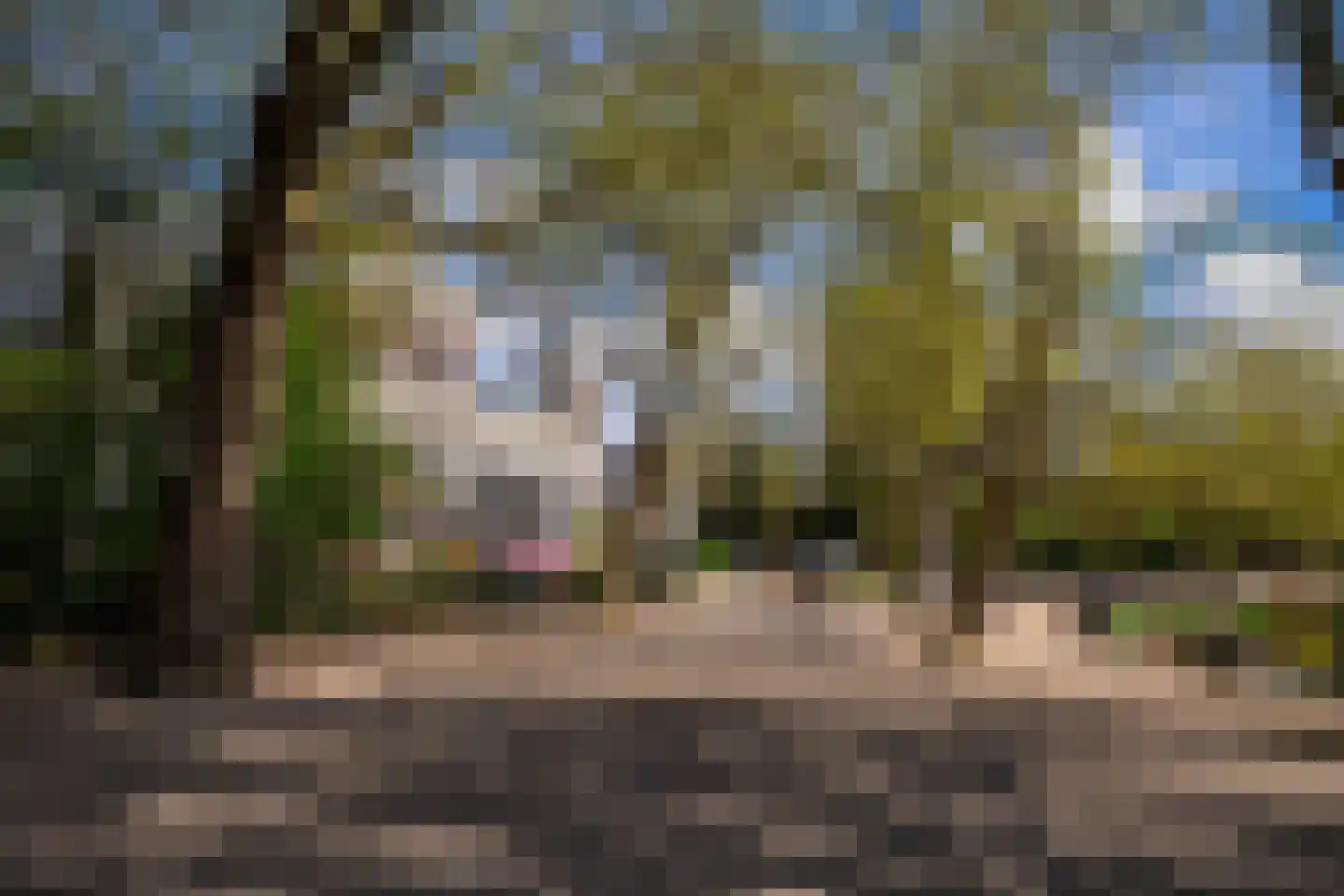 Paramariboplein 22 Amsterdam thumbnail 37