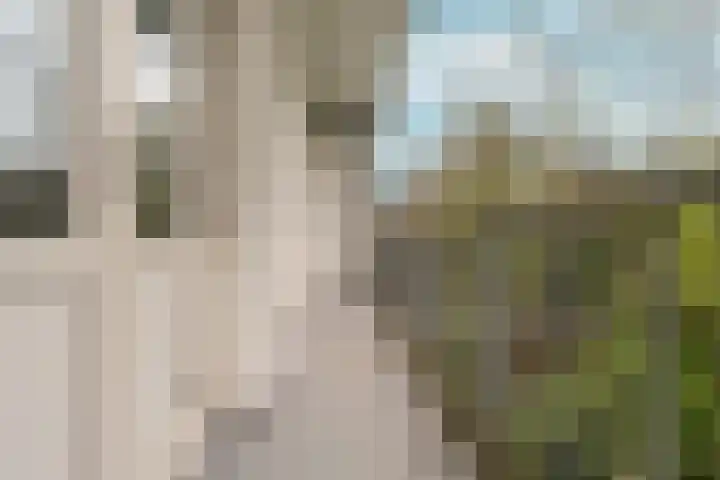 Paramariboplein 45 2 Amsterdam thumbnail 14