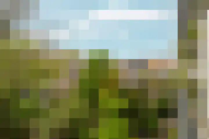 Paramariboplein 45 2 Amsterdam thumbnail 16