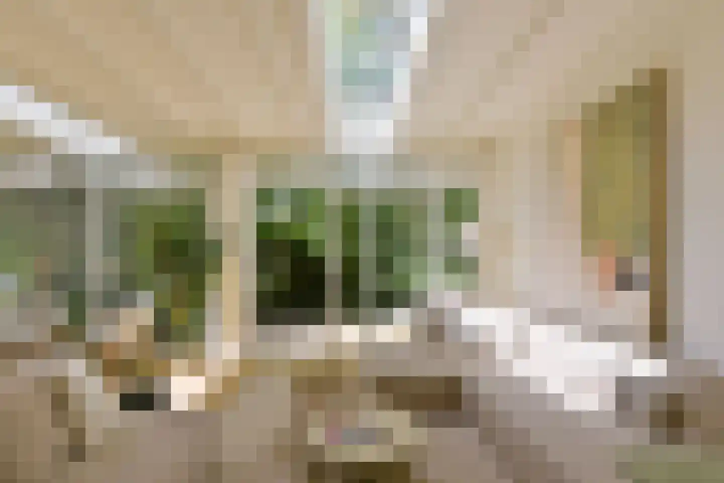 Paramariboplein 47 Amsterdam foto 3