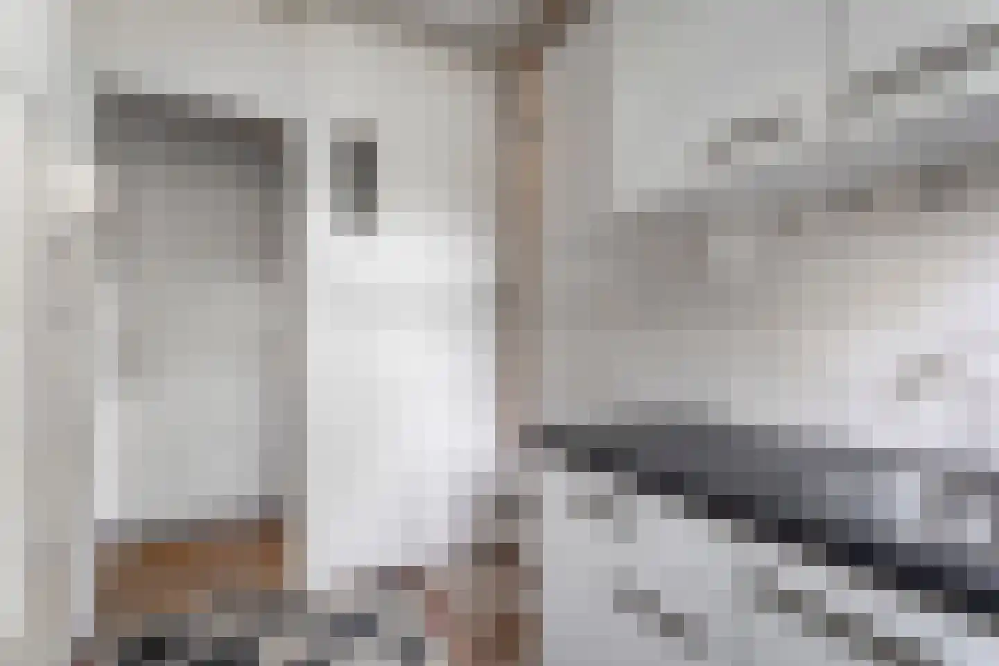 Paramariboplein 53 2 Amsterdam thumbnail 19