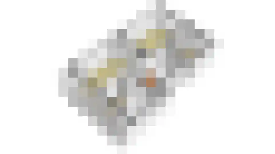 Paramariboplein 53 2 Amsterdam thumbnail 30