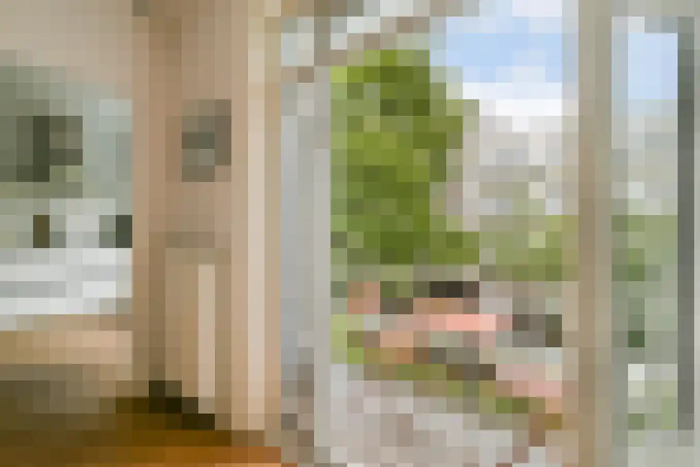 Paramaribostraat 105 2 Amsterdam thumbnail 15