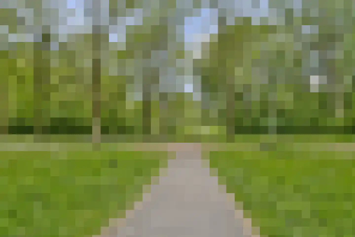 Paramaribostraat 105 2 Amsterdam thumbnail 35