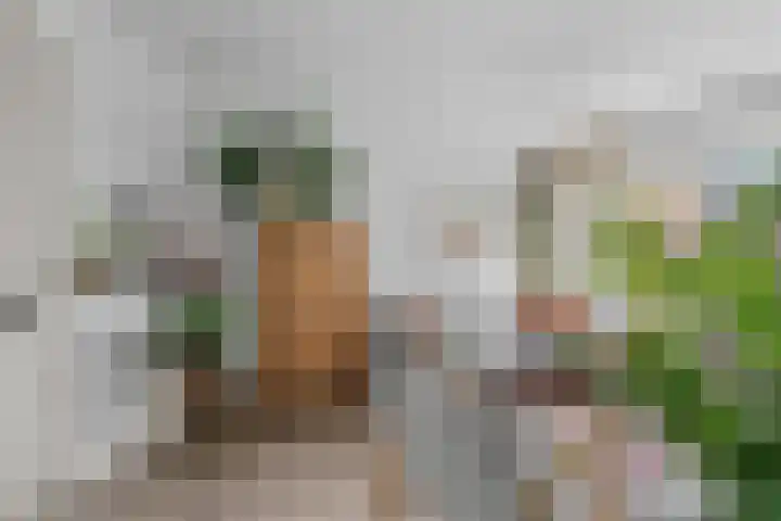 Paramaribostraat 11 Utrecht thumbnail 9
