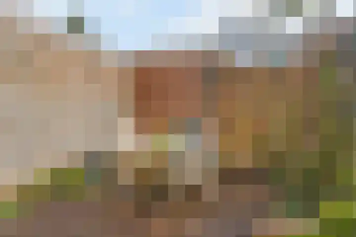 Paramaribostraat 16 Utrecht thumbnail 18