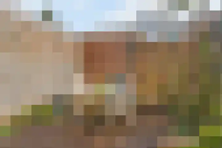 Paramaribostraat 16 Utrecht thumbnail 4