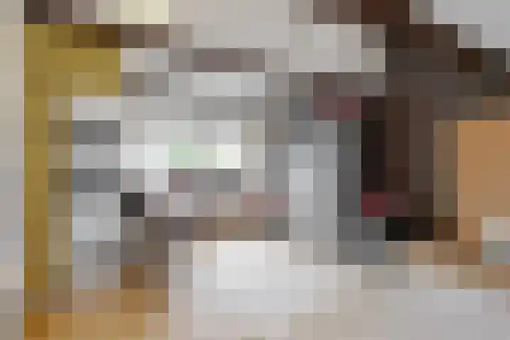 Paramaribostraat 16 Utrecht thumbnail 7