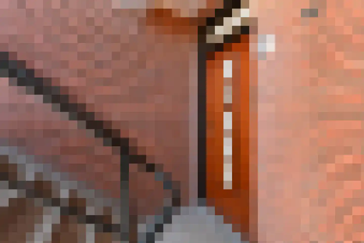 Paramaribostraat 2 C Den Haag thumbnail 25