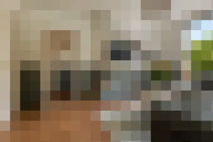 Paramaribostraat 22 Groningen thumbnail 10