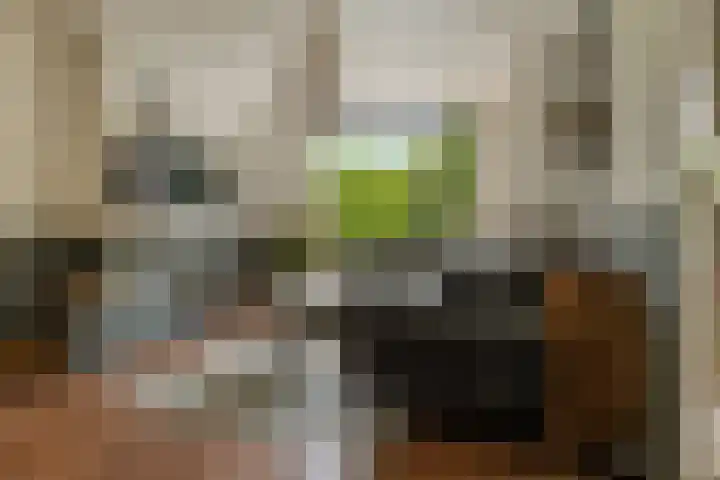 Paramaribostraat 22 Groningen thumbnail 11