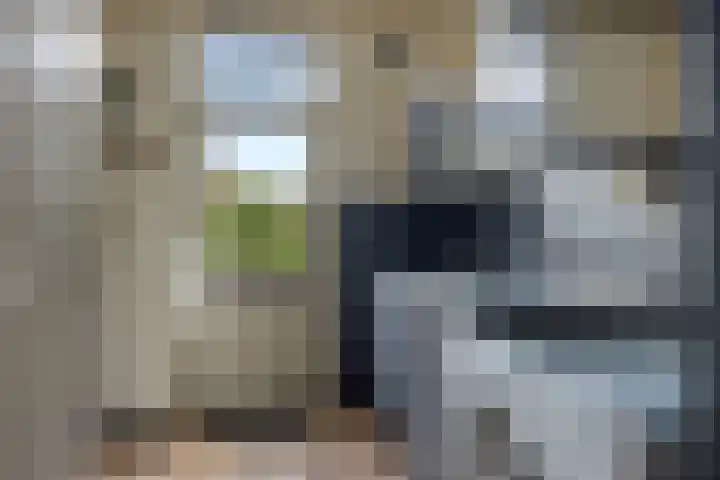 Paramaribostraat 22 Groningen thumbnail 14