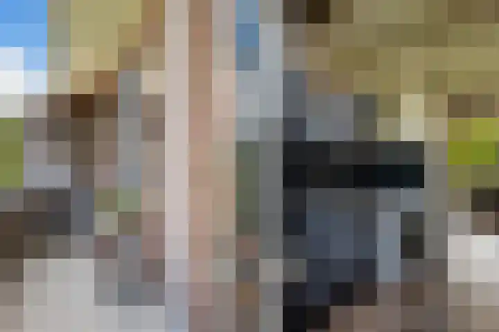 Paramaribostraat 22 Groningen thumbnail 15