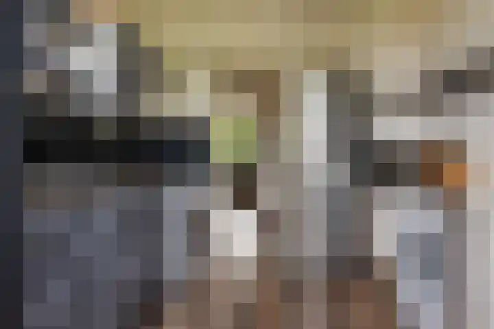 Paramaribostraat 22 Groningen thumbnail 16
