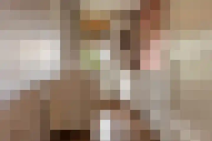 Paramaribostraat 22 Groningen thumbnail 23