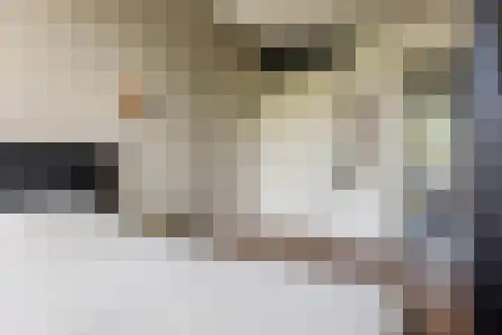Paramaribostraat 22 Groningen thumbnail 28