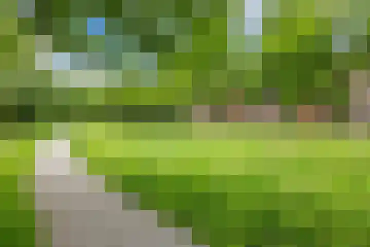 Paramaribostraat 22 Groningen thumbnail 32