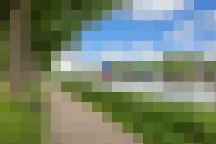 Paramaribostraat 22 Groningen thumbnail 33