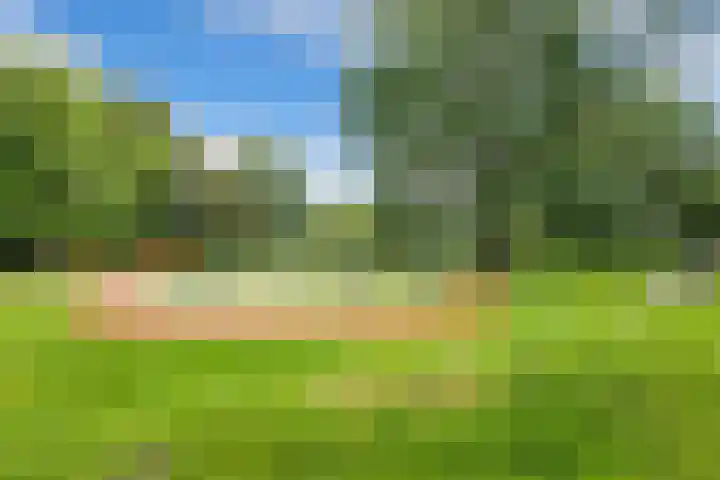 Paramaribostraat 22 Groningen thumbnail 34