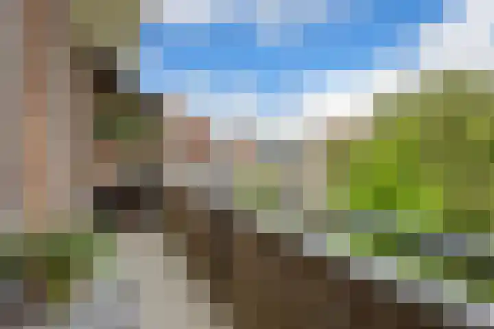 Paramaribostraat 22 Groningen thumbnail 36