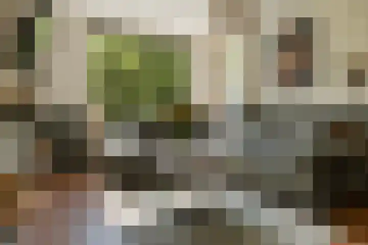 Paramaribostraat 22 Groningen thumbnail 9