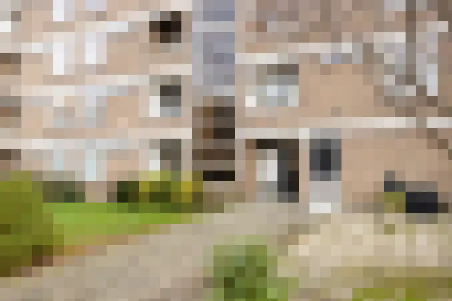 Paramaribostraat 25 Leiden thumbnail 9