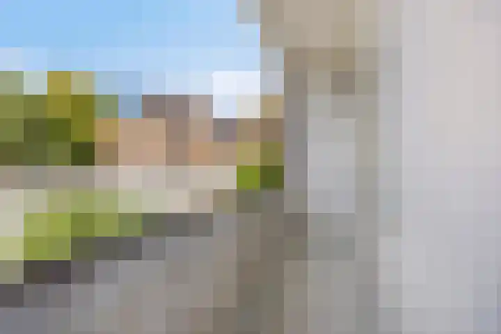 Paramaribostraat 37 Utrecht thumbnail 17
