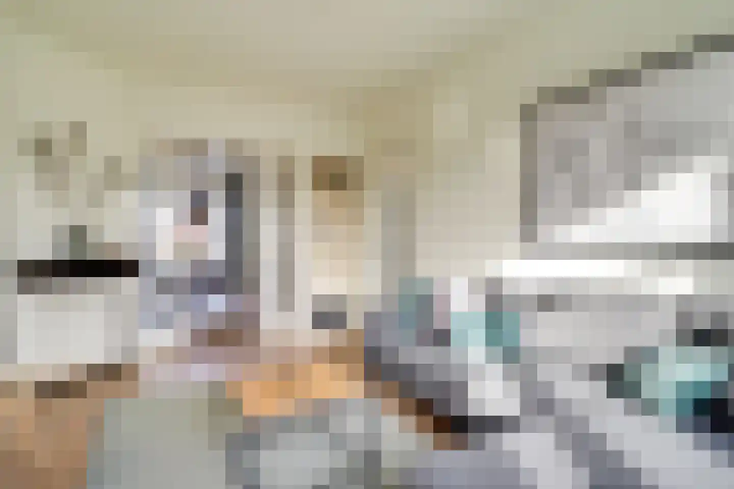 Paramaribostraat 41 Utrecht thumbnail 4