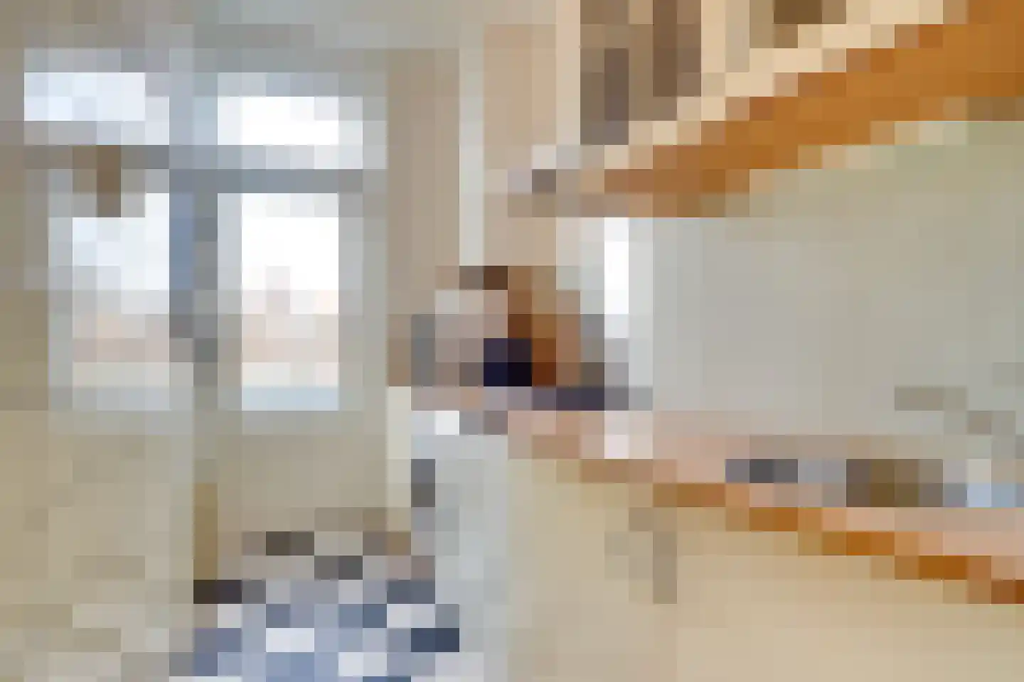 Paramaribostraat 41 Utrecht thumbnail 9