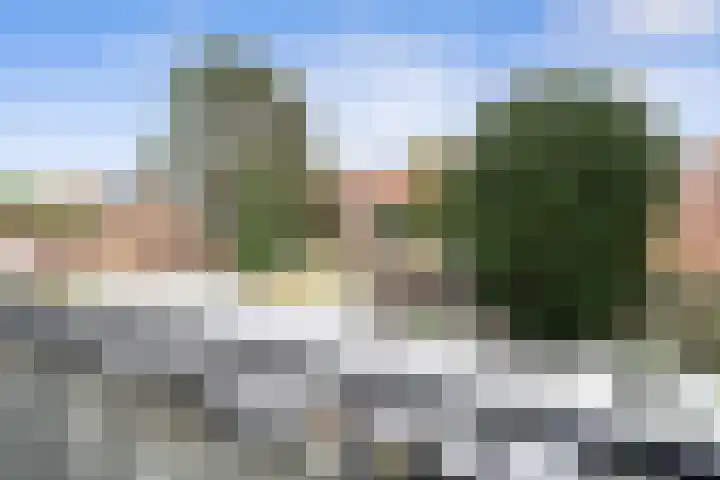Paramaribostraat 44 Santpoort-Noord thumbnail 28
