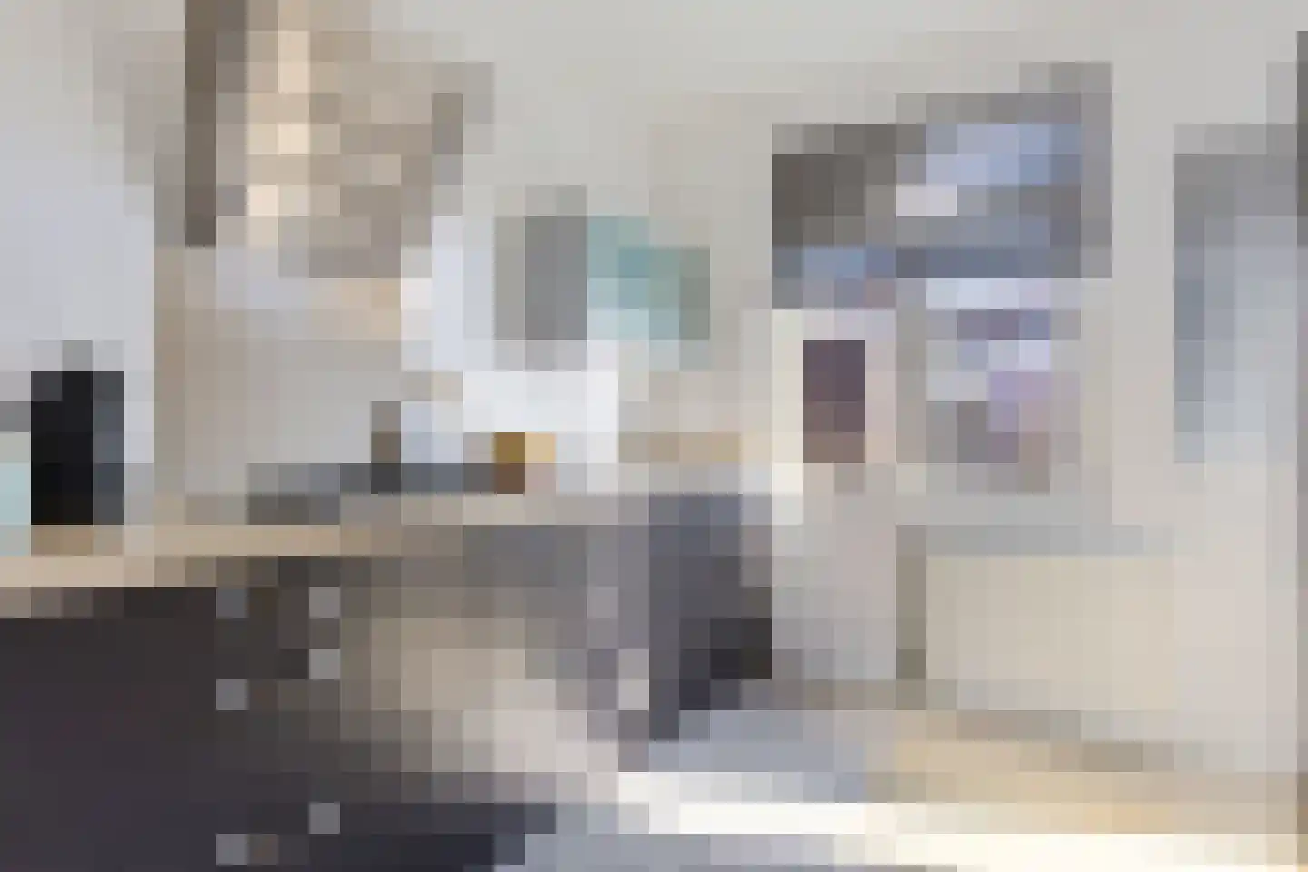 Paramaribostraat 50 2 Amsterdam thumbnail 9